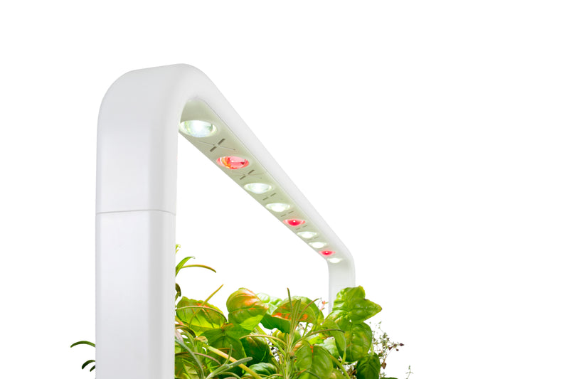 Click & Grow indoor smart garden 9 white