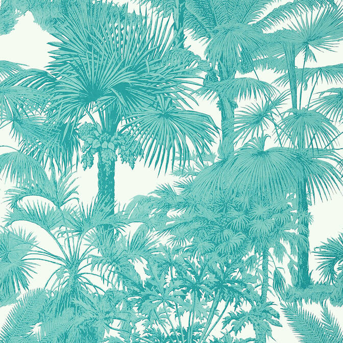 PALM BOTANICAL,Wallpaper