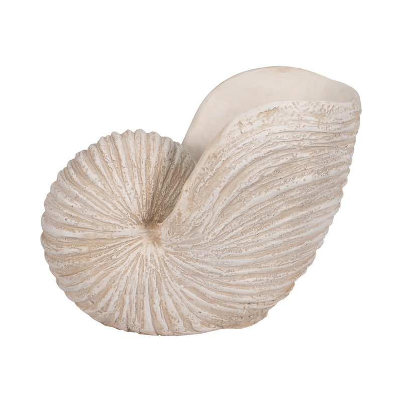 18" Shell Sculpture, Ivory