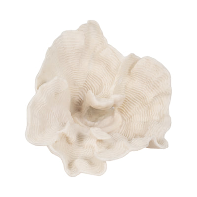 12" Coral Fan D?cor, Ivory