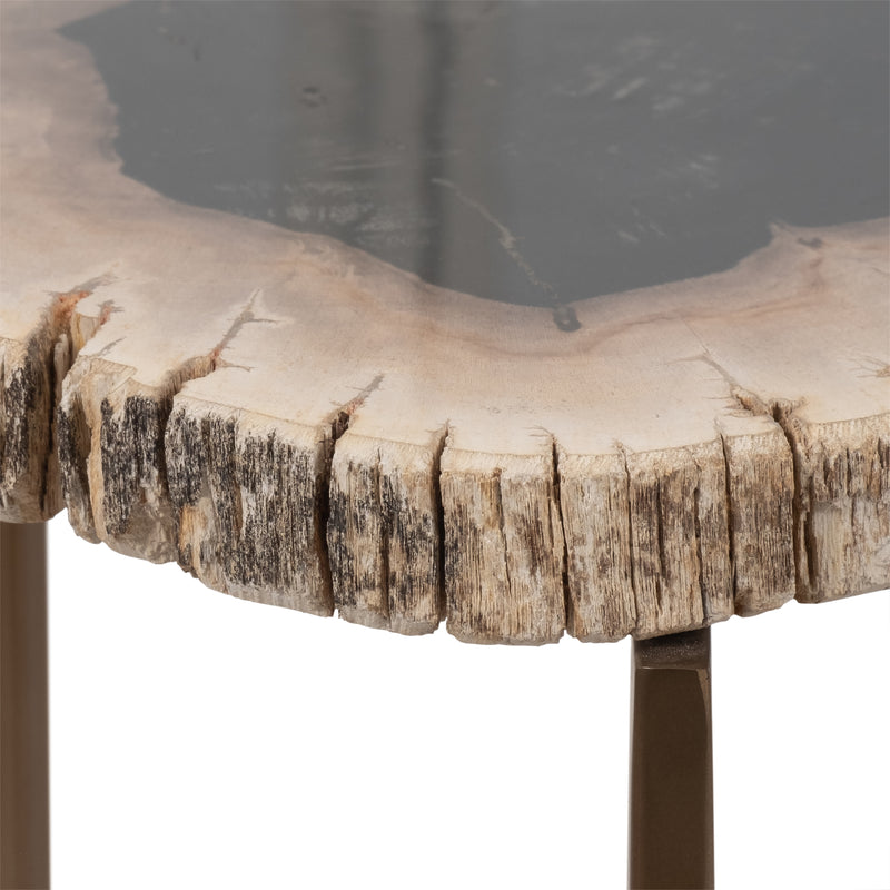 Petrified Wood, 21" Accent Table, Multi