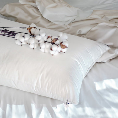 American Polo | Cotton Bed Pillow with Microfiber Filling