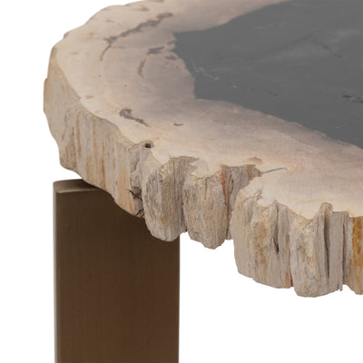 Petrified Wood, 21" Accent Table, Multi