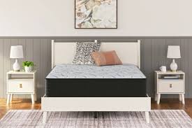 Elite Springs Plush King Mattress