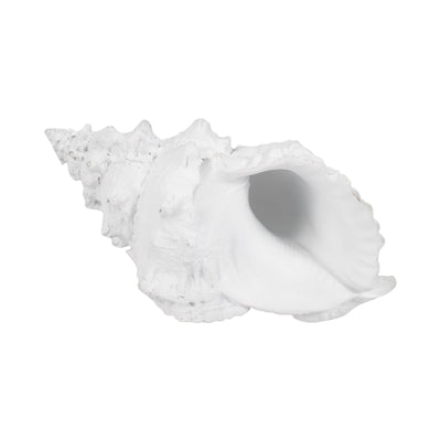 9" Conch Shell, White