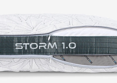 Storm 2022 Pillow