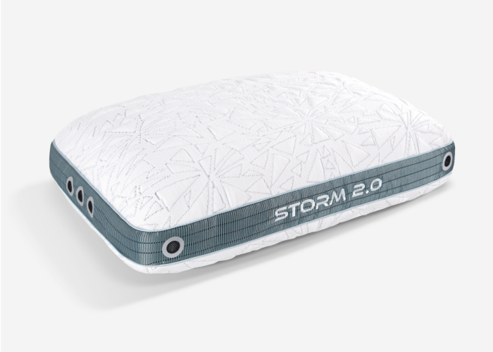 Storm 2022 Pillow