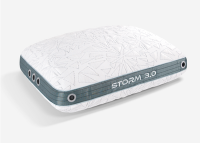 Storm 2022 Pillow