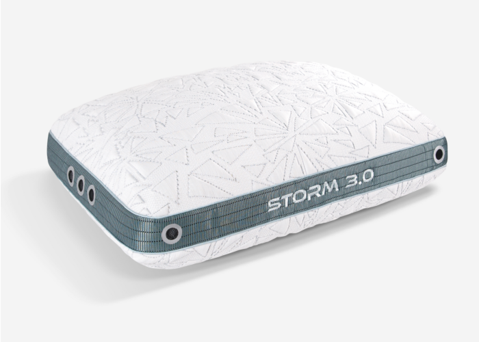 Storm 2022 Pillow