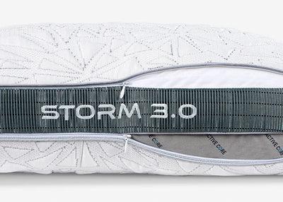 Storm 2022 Pillow