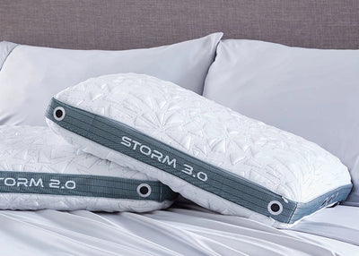 Storm 2022 Pillow