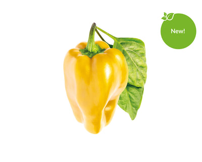 Click & Grow Seeds Yellow Sweet Pepper