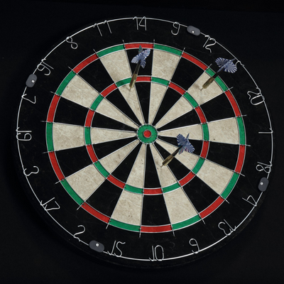 Roots Bones Dartboard (4649597730912)